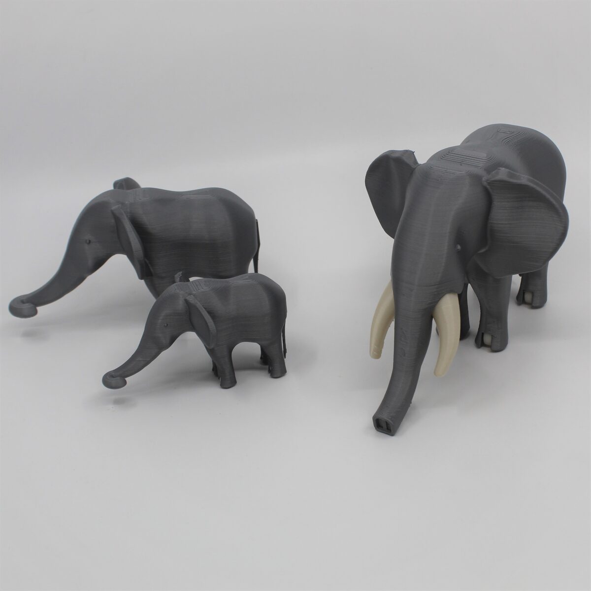 African Elephant Mama & Babies - thumbnail 10